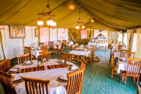 Ndutu to Ngorongoro Area – 8 Days Tanzania Ndutu Calving Safari